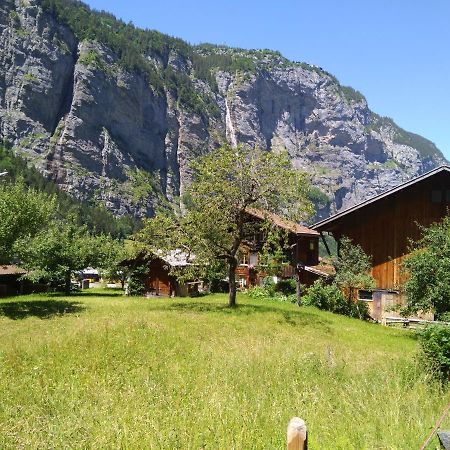 Ferien Cottage Flueehblueemli Stechelberg Esterno foto