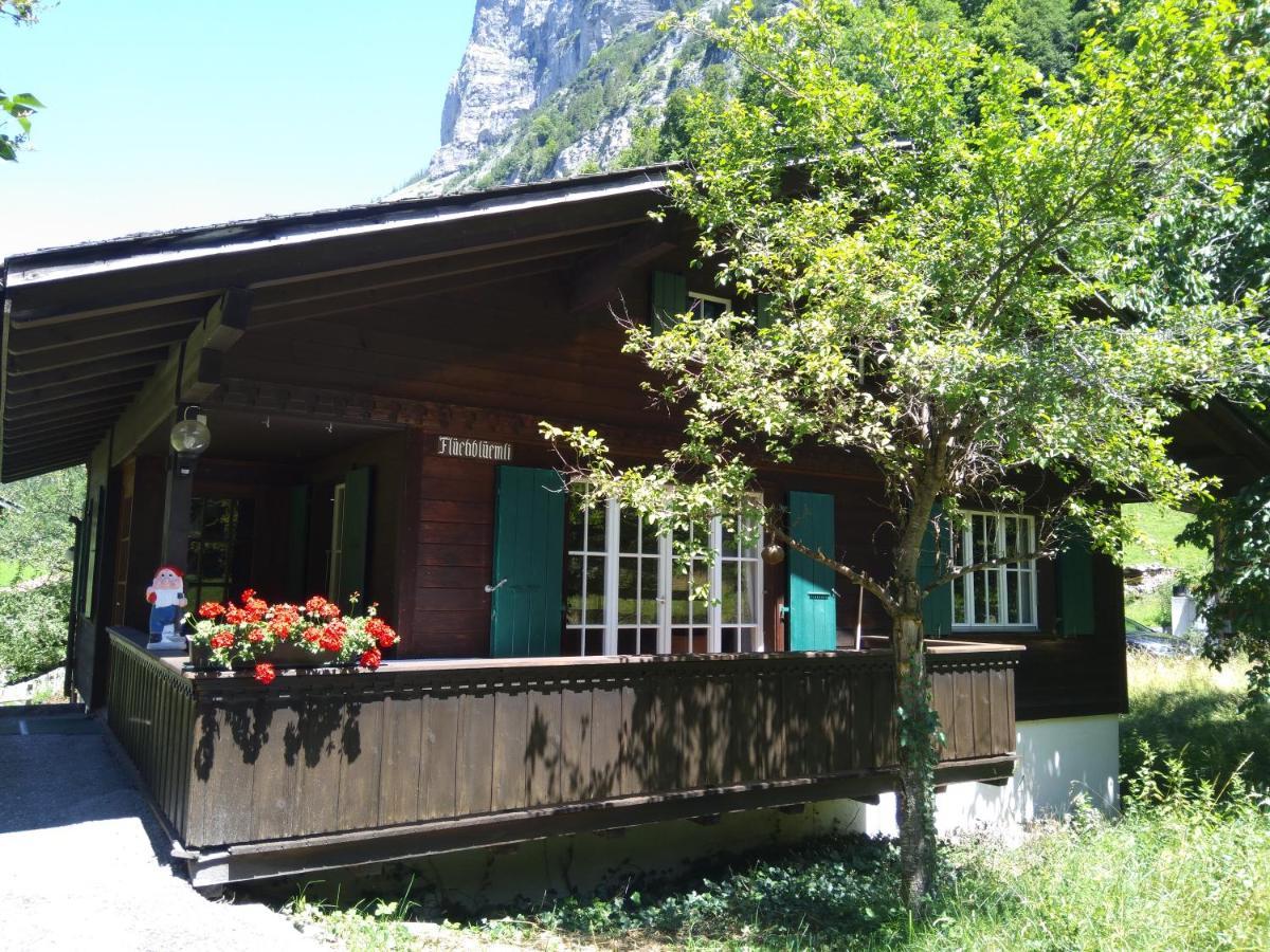 Ferien Cottage Flueehblueemli Stechelberg Esterno foto